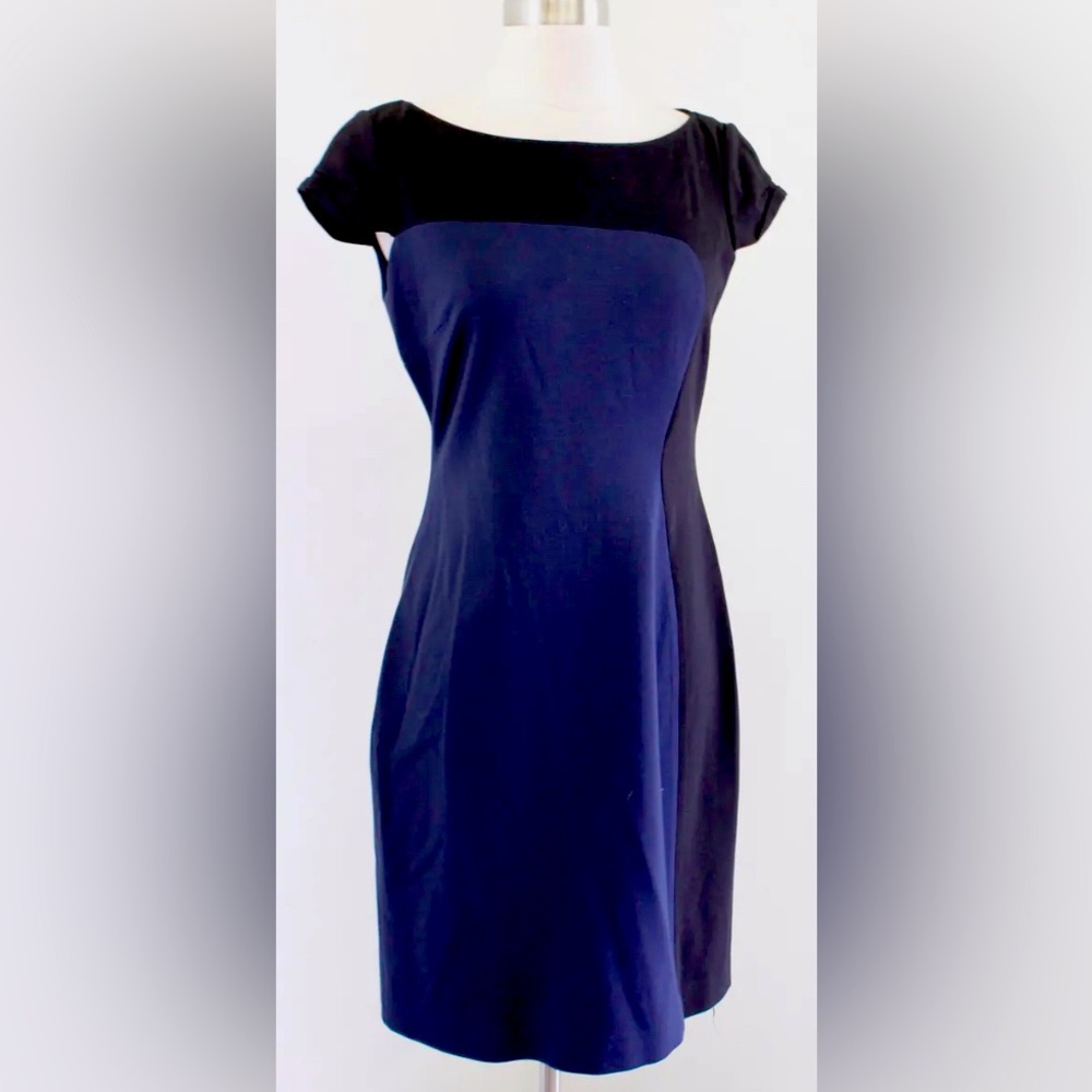 Tahari professional sheeth cap sleeve dress